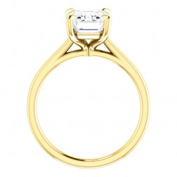 Emerald Cut Moissanite Engagement Ring