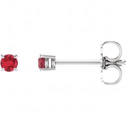 14kt White 2.5mm Round Ruby Earrings