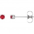 14kt White 2.5mm Round Ruby Earrings