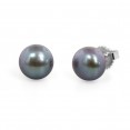 Freshwater Cultured Pearl Stud Earring Sterling Silver 9-9.5mm Black Button