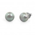 Freshwater Cultured Pearl Stud Earring Sterling Silver 9-9.5mm Gray Button