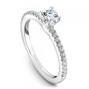 A solitaire Carver Studio white gold engagement ring with 23 diamonds.
