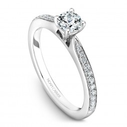 A solitaire Carver Studio white gold engagement ring with a round center stone and 23 diamonds.