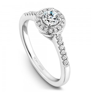 A Carver Studio white gold engagement ring with a halo and 29 diamonds.