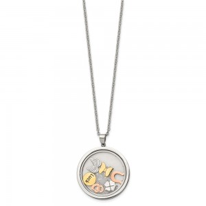 Stainless Steel Rose & Yellow IP w/Crystal Luck Charms w/2in ext Necklace